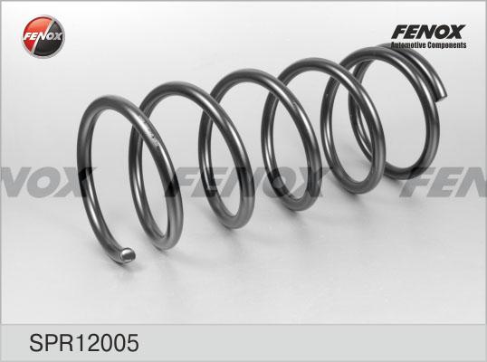 ПРУЖИНА ПОДВЕСКИ FENOX SPR12005
