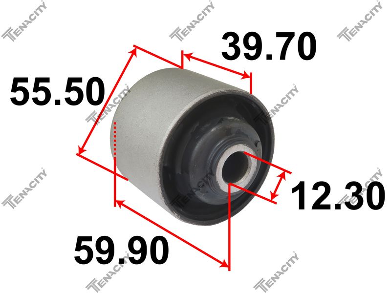 САЙЛЕНТБЛОК РЫЧАГА ПОДВЕСКИ TENACITY AAMSB1019