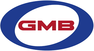 РЕМЕНЬ ПОЛИКЛИНОВЫЙ GMB 5PK1115
