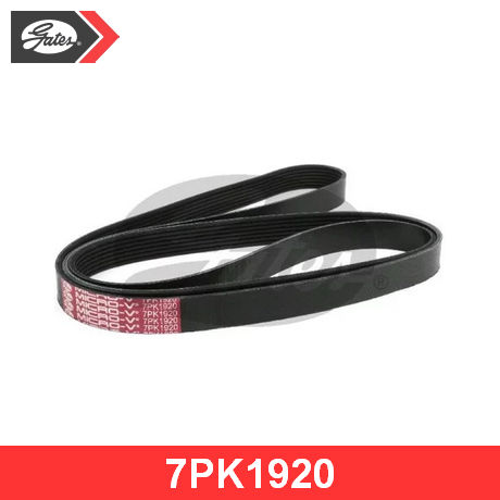 РЕМЕНЬ ПОЛИКЛИНОВЫЙ GATES 7PK1920