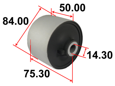 САЙЛЕНТБЛОК РЫЧАГА ПОДВЕСКИ TENACITY AAMNI1080