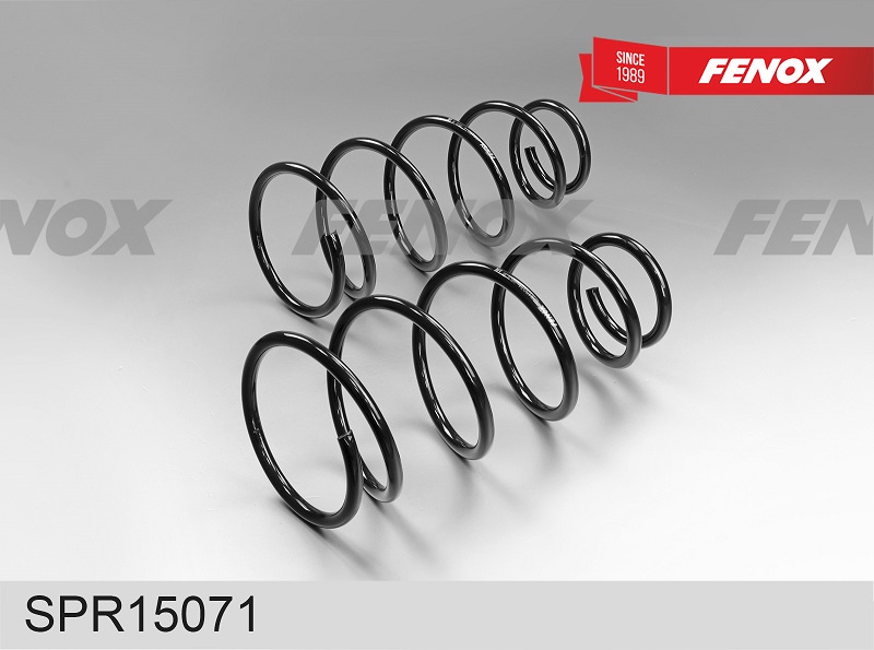 ПРУЖИНА ПОДВЕСКИ FENOX SPR15071