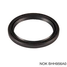 САЛЬНИК NOK BHH956A0