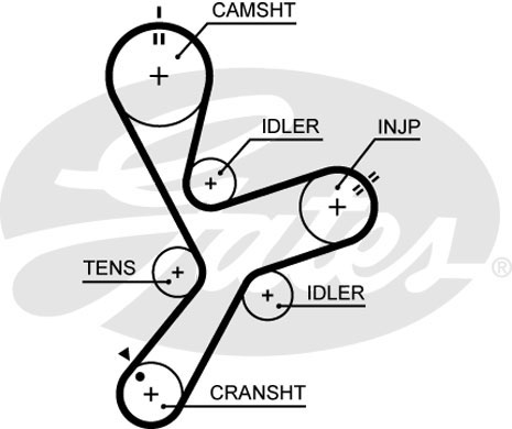 РЕМЕНЬ ГРМ GATES 5641XS