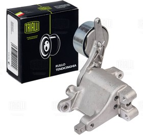 НАТЯЖНОЙ РОЛИК TRIALLI CM5342